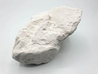 <strong> Kalkstein </strong> <br>14 x 9,5 x 7cm. Gefunden während dem Aufstieg zur Kunsthalle Tropical Piz Uter 2021.